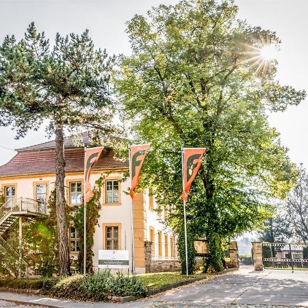 Stadtschloss Hecklingen*** Hecklingen  Eksteriør billede
